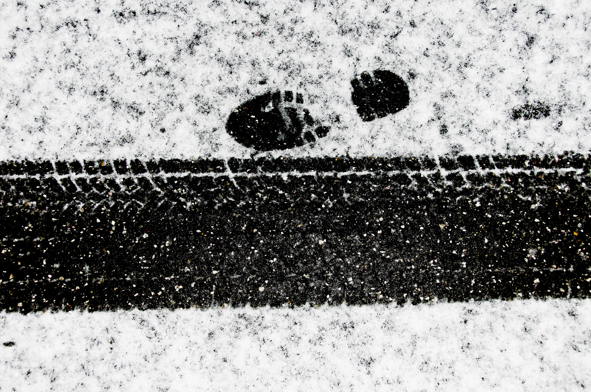 Tracks in the snow